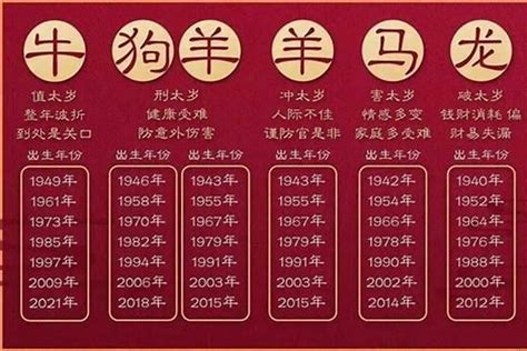 49岁属什么生肖2023|2023年49岁属什么生肖